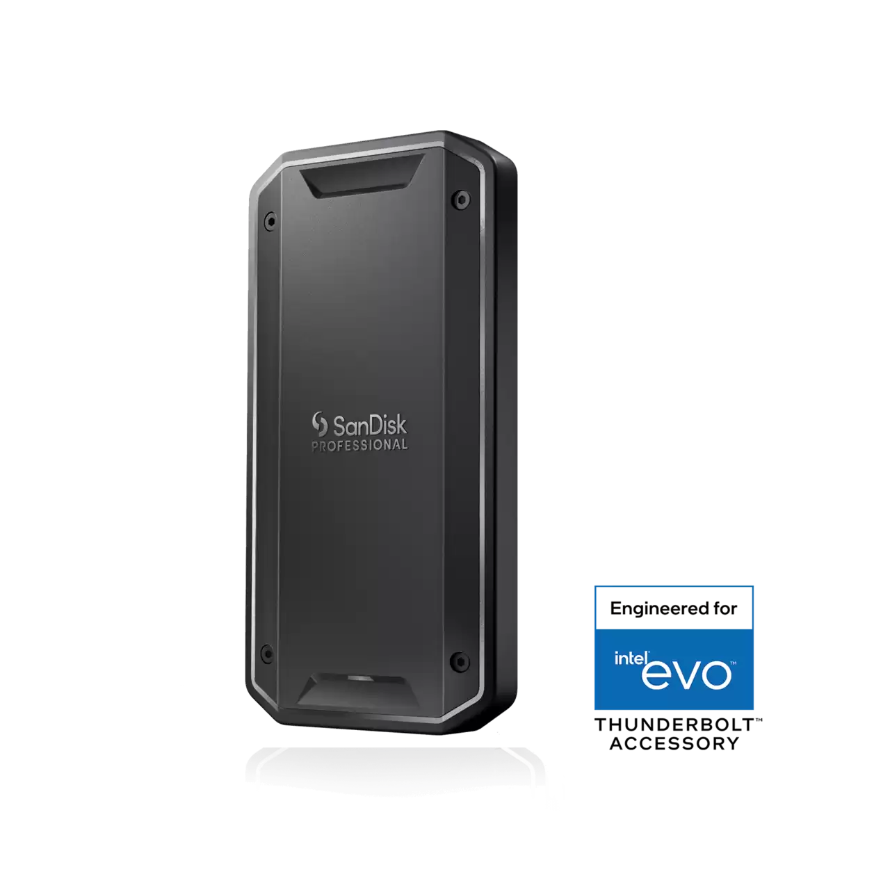 SanDisk Professional PRO-G40 4 TB Produktbild